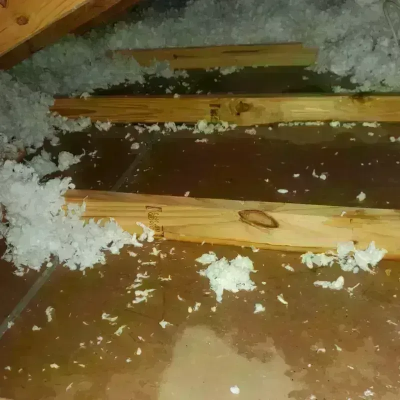 Attic Water Damage in Pea Ridge, WV